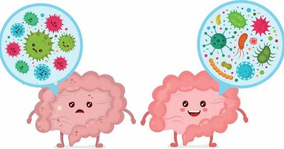 The Microbiome and Gut Health: Why They Are Important
